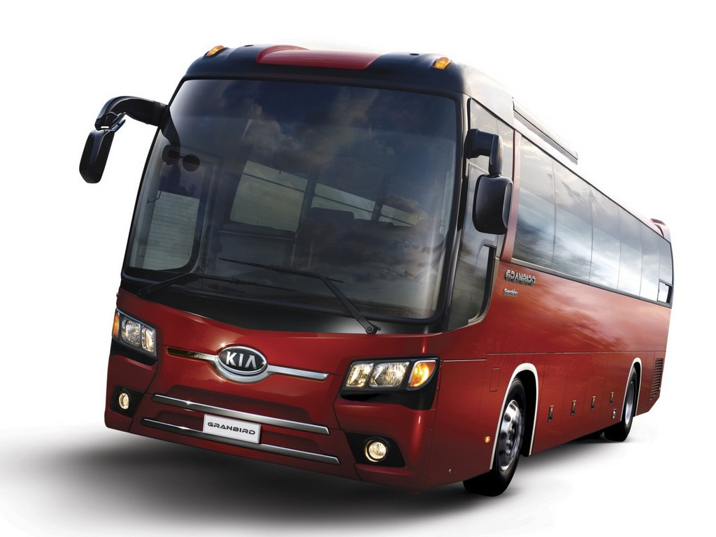buses 45 para transporte ejecutivo vip